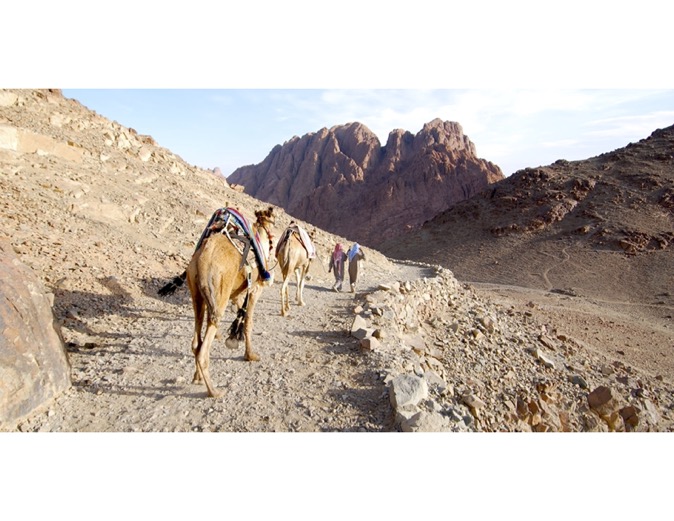 camels_on_the_exodus